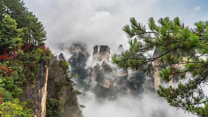 Fantastic mountain landscape. The tall rock pillars are shrouded in fog. Peaks in the clouds. In the foreground is a rock with stairs and a observation deck. Branches of a coniferous tree. China.
