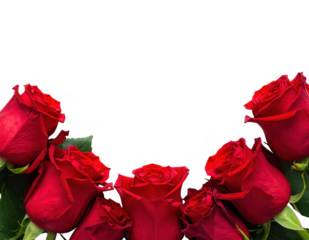Flat top view of red roses with copy space, isolated on white and transparent.