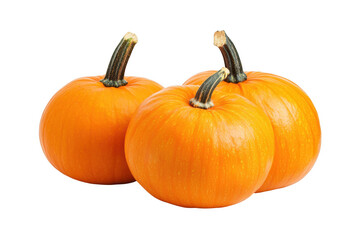 Obraz premium Three vibrant orange pumpkins arranged together in a visually appealing display isolated on transparent background