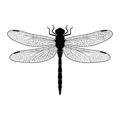 Dragonfly with wings spread Vector, Silhouette, Illustration