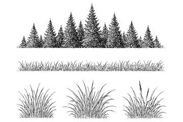 set of Grass Section CAD,
Grass Section CAD Set &ndash; Minimal Forest Line for Architecture
