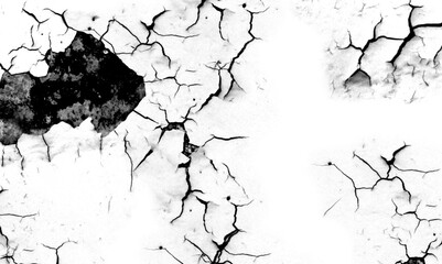 Craquelure noir sur fond transparent.