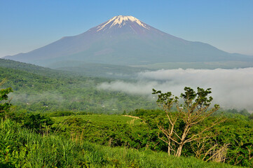 丹沢の鉄砲木ノ頭（明神山）より　晴れ行く朝霧に浮かぶ夏富士
