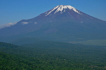 Fototapeta premium 丹沢の鉄砲木ノ頭（明神山）より 初夏の頃の富士山を眺める 