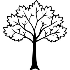 Obraz premium Maple tree line art illustration, clean black outlines, consistent stroke weight, isolated on white background