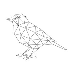 Polygonal line art of bird vector