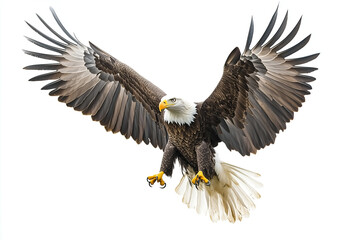 Obraz premium Majestic Bald Eagle Flying with Wings Spread Isolated on White Background