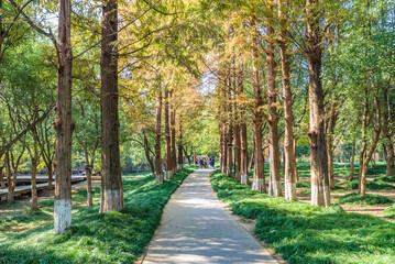Archaeological Ruins of Liangzhu City, UNESCO World Heritage Site, Hangzhou City, Zhejiang Province, China