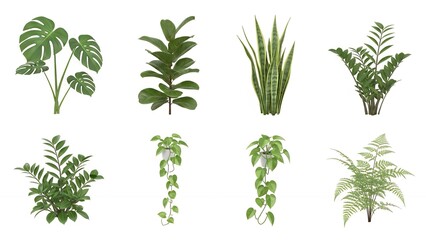 Assortment of Green Houseplants Including Monstera, Ficus, Snake Plant, and Ferns, Unpotted and Potted, Isolated on White
