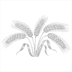 Detailed illustration of ripe wheat stalks with leaves, a symbol of harvest and agriculture