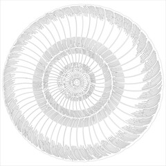 Intricate spiral ammonite fossil shell illustration