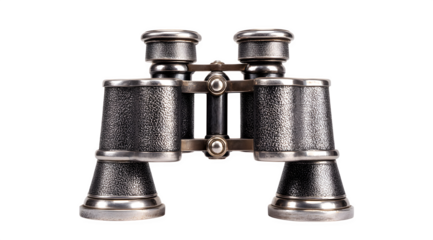 An antique pair of silver and textured black opera binoculars stands majestically, showcasing intricate details and vintage charm.