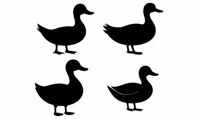 Set of four black duck silhouettes on white.