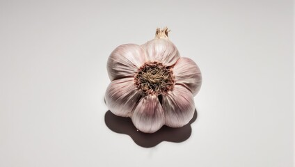 Single Bulb of Garlic on a White Background.