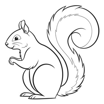 Curious squirrel standing