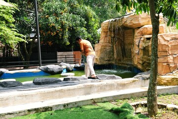 A father and his son exploring a nature park with green surroundings. The image reflects curiosity, learning, and sustainable outdoor activities that strengthen family bonds.