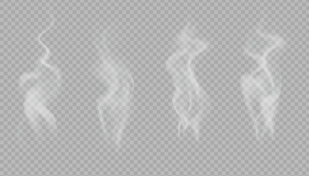Realistic steam or smoke on hot tea, coffee, food. PNG Stock royalty free.