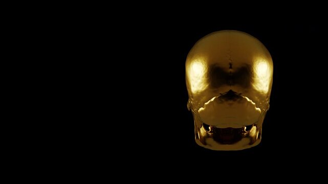 Luxury golden human skull rotating seamless loop, shiny metallic skeleton 3D rendering isolated on black background.