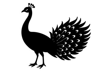 Fototapeta premium peacock black silhouette, Silhouette of a peacock standing with its tail feathers fanned out Vector, peacock symbol