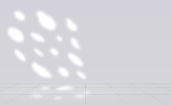 Minimal interior wall with soft natural light shadows