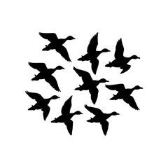 Flying Duck Flock Vector Icon Minimal Style.