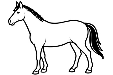Obraz premium horse line art vector illustration, A simple black and white line drawing Vector, Morgan horse outline 