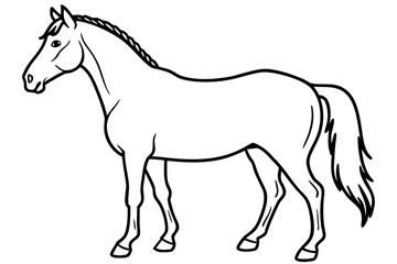 Fototapeta premium horse line art vector illustration, A simple black and white line drawing Vector, Morgan horse outline 