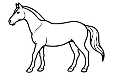 Obraz premium horse line art vector illustration, A simple black and white line drawing Vector, Morgan horse outline 