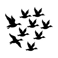 Flock of Flying Ducks Silhouette Vector on White Background.