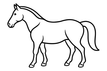 Fototapeta premium horse line art vector illustration, A simple black and white line drawing Vector, Morgan horse outline 