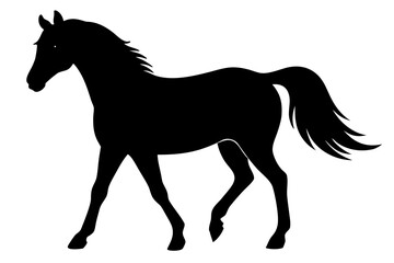 Obraz premium Morgan horse silhouette, horse black vector, Silhouette of a horse walking gracefully Vector, 