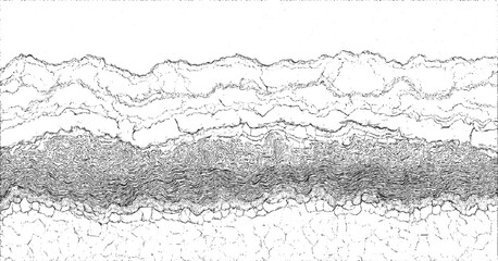 Black and white abstract textured background with wavy lines and cracked patterns