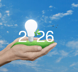 2026 white text and led light bulb with fresh leaves on green grass in hands over blue sky, white clouds and birds, Happy new year 2026 green ecology and saving energy concept