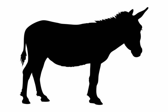 donkey Silhouette vector, Silhouette of a donkey standing against Vector