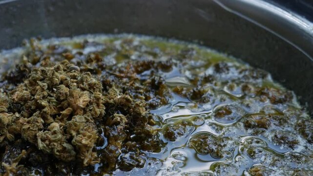 Boiling Cannabis in Butter Double Boiler: Marijuana Infusion Cooking Process Bubbles Steam Cannabutter Making Method