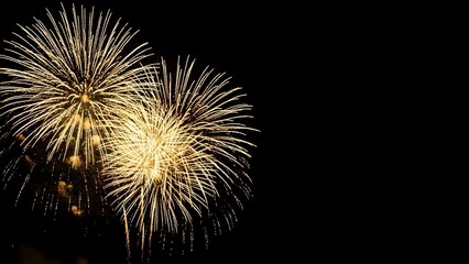 Obraz premium Vibrant fireworks exploding in the night sky