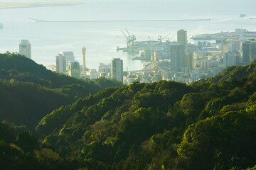 兵庫県・鍋蓋山から神戸港を見る