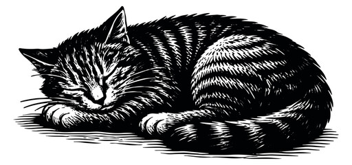 Hand drawn line art illustration of a cat depicting a peaceful sleep for pet and animal themed projects