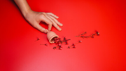 Menstrual Cup with Red Flowers on Red Background Concept Period Flow