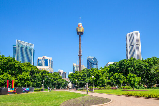 Sydney, Australia - January 5, 2019: sydney tower and hyde park. Sydney Tower is the tallest structure in this city, and Hyde Park is the oldest public parkland in Australia.