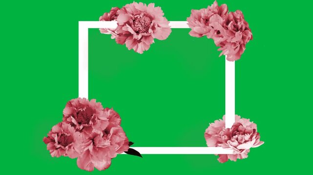 Animation of a frame with flowers on green background