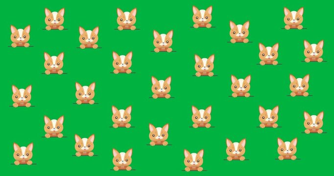 Digital animation of multiple dog and cat face icons against black background