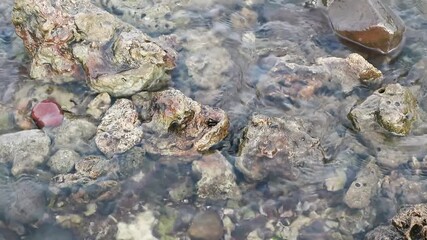 Shallow clear water with smooth and rough rocks and pebbles in various shades of gray, brown