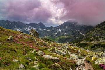 Fototapeta premium Summer scenery in the Transylvanian Alps with spectacular imagery and dramatic storm clouds, in July and August
