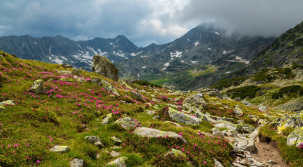 Summer scenery in the Transylvanian Alps with spectacular imagery and dramatic storm clouds, in July and August