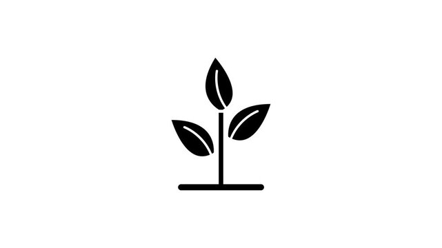 Vector illustration of a tree plant icon animation. 4K