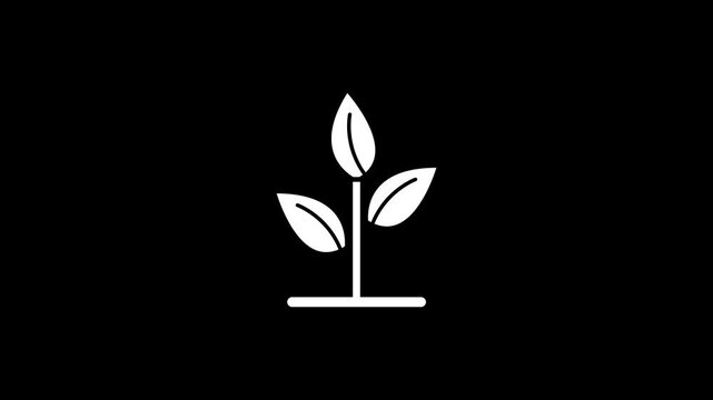 Vector illustration of a tree plant icon animation. 4K
