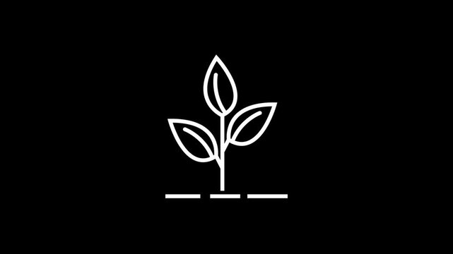 Vector illustration of a tree plant icon animation. 4K