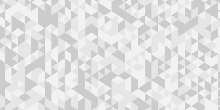 Abstract triangle polygonal gray background. Modern abstract geometric polygon background. Abstract seamless polygon background vector illustration. White and gray Polygon Mosaic Background.