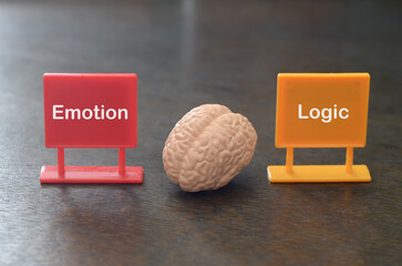 The Psychological Dichotomy: A Brain Balanced Between Signs for Subjective Emotion and Rational...